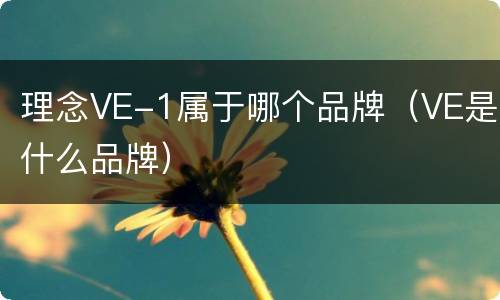 理念VE-1属于哪个品牌（VE是什么品牌）