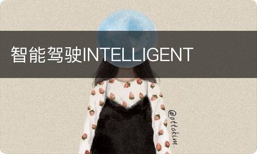 智能驾驶INTELLIGENT