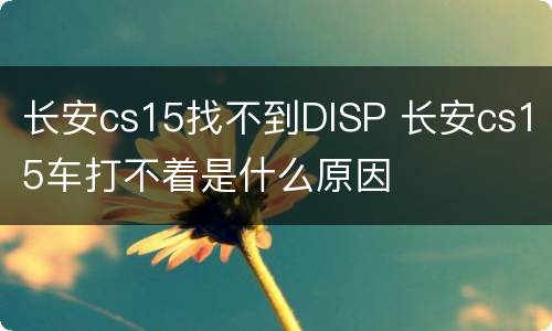长安cs15找不到DISP 长安cs15车打不着是什么原因