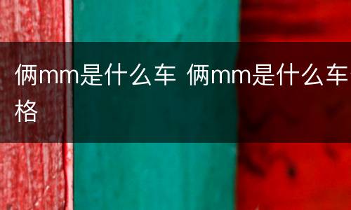 俩mm是什么车 俩mm是什么车价格