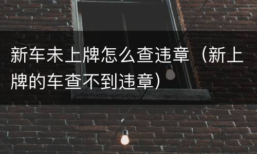 新车未上牌怎么查违章（新上牌的车查不到违章）