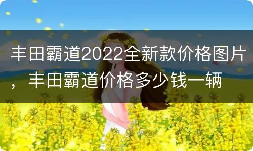 丰田霸道2022全新款价格图片，丰田霸道价格多少钱一辆