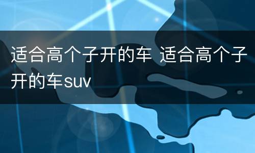 适合高个子开的车 适合高个子开的车suv