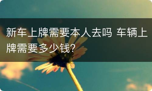 新车上牌需要本人去吗 车辆上牌需要多少钱?