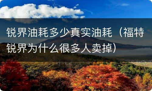 锐界油耗多少真实油耗（福特锐界为什么很多人卖掉）