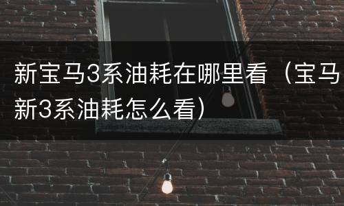 新宝马3系油耗在哪里看（宝马新3系油耗怎么看）