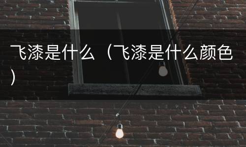 飞漆是什么（飞漆是什么颜色）