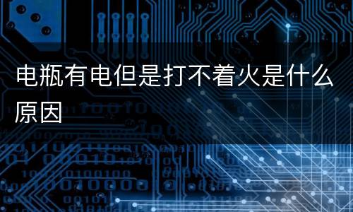 电瓶有电但是打不着火是什么原因