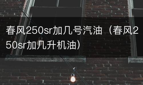 春风250sr加几号汽油（春风250sr加几升机油）