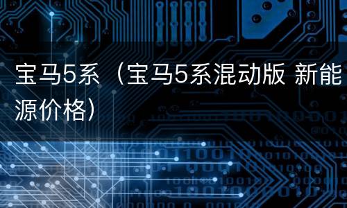 宝马5系（宝马5系混动版 新能源价格）