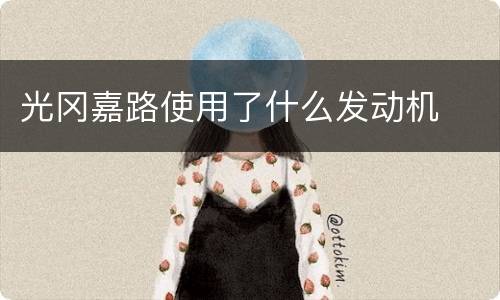 光冈嘉路使用了什么发动机