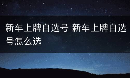 新车上牌自选号 新车上牌自选号怎么选