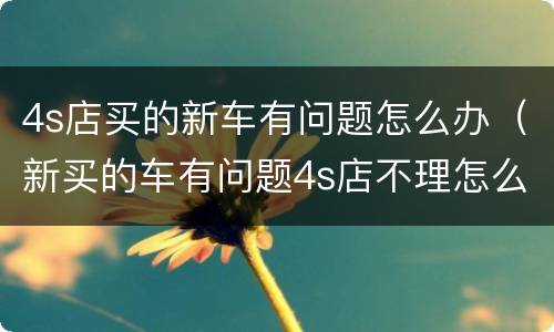 4s店买的新车有问题怎么办（新买的车有问题4s店不理怎么办）