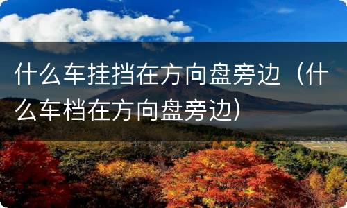 什么车挂挡在方向盘旁边（什么车档在方向盘旁边）
