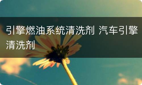 引擎燃油系统清洗剂 汽车引擎清洗剂