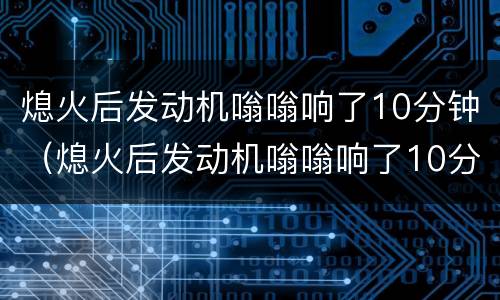熄火后发动机嗡嗡响了10分钟（熄火后发动机嗡嗡响了10分钟后1爆炸一声）