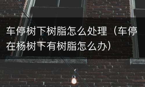 车停树下树脂怎么处理（车停在杨树下有树脂怎么办）