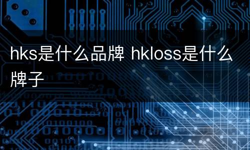 hks是什么品牌 hkloss是什么牌子
