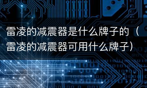 雷凌的减震器是什么牌子的（雷凌的减震器可用什么牌子）