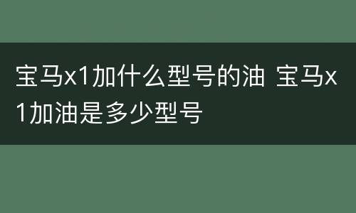 宝马x1加什么型号的油 宝马x1加油是多少型号
