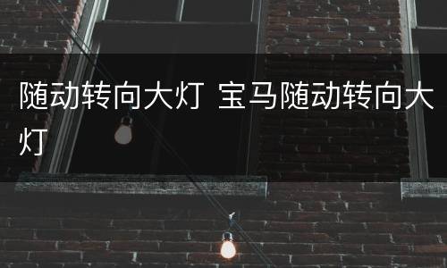 随动转向大灯 宝马随动转向大灯