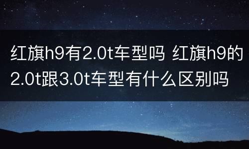 红旗h9有2.0t车型吗 红旗h9的2.0t跟3.0t车型有什么区别吗?