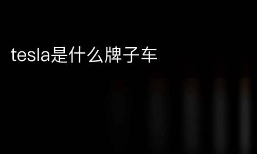 tesla是什么牌子车