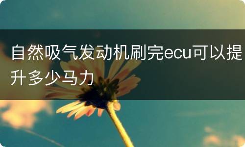 自然吸气发动机刷完ecu可以提升多少马力