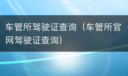 车管所驾驶证查询（车管所官网驾驶证查询）