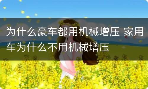 为什么豪车都用机械增压 家用车为什么不用机械增压