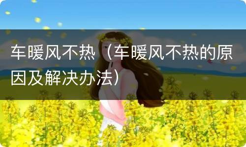 车暖风不热（车暖风不热的原因及解决办法）