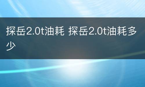 探岳2.0t油耗 探岳2.0t油耗多少