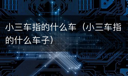 小三车指的什么车（小三车指的什么车子）