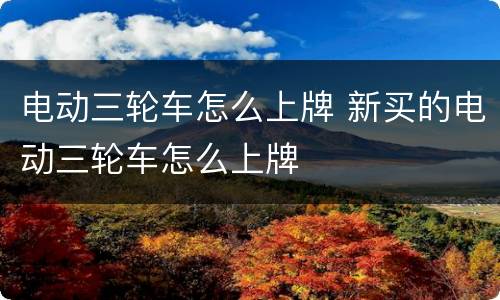 电动三轮车怎么上牌 新买的电动三轮车怎么上牌