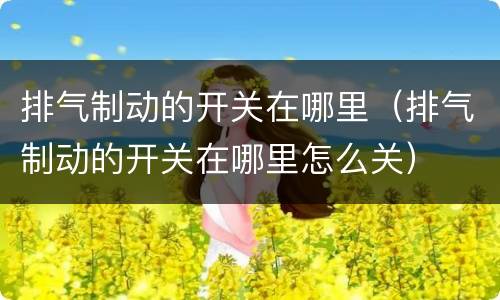 排气制动的开关在哪里（排气制动的开关在哪里怎么关）