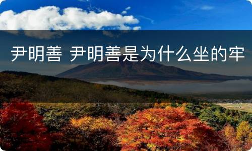 尹明善 尹明善是为什么坐的牢
