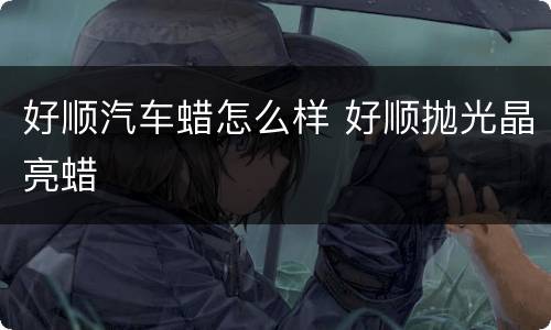 好顺汽车蜡怎么样 好顺抛光晶亮蜡