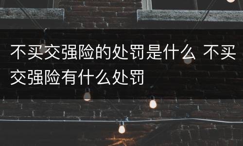 不买交强险的处罚是什么 不买交强险有什么处罚