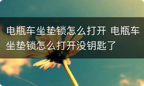 电瓶车坐垫锁怎么打开 电瓶车坐垫锁怎么打开没钥匙了