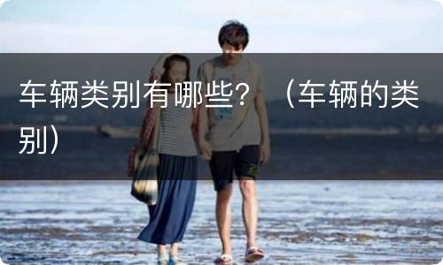 车辆类别有哪些？（车辆的类别）