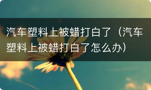 汽车塑料上被蜡打白了（汽车塑料上被蜡打白了怎么办）