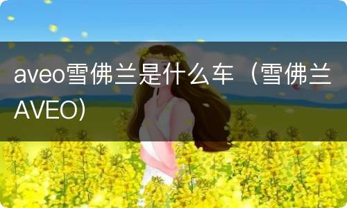 aveo雪佛兰是什么车（雪佛兰AVEO）