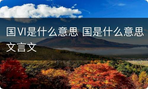 国Ⅵ是什么意思 国是什么意思文言文