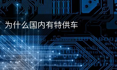 为什么国内有特供车