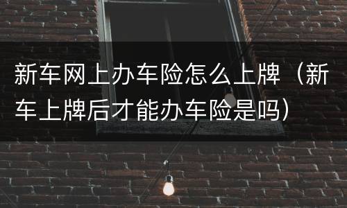 新车网上办车险怎么上牌（新车上牌后才能办车险是吗）