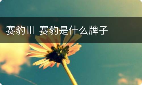 赛豹Ⅲ 赛豹是什么牌子