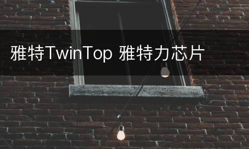 雅特TwinTop 雅特力芯片