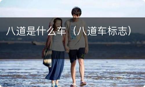 八道是什么车（八道车标志）