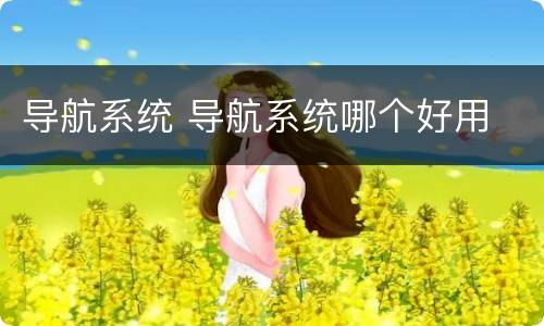 导航系统 导航系统哪个好用