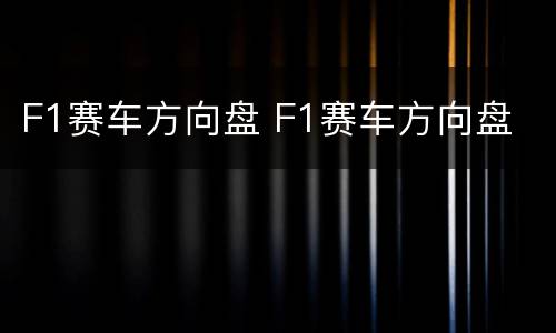 F1赛车方向盘 F1赛车方向盘